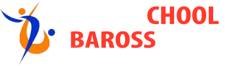Circuschool